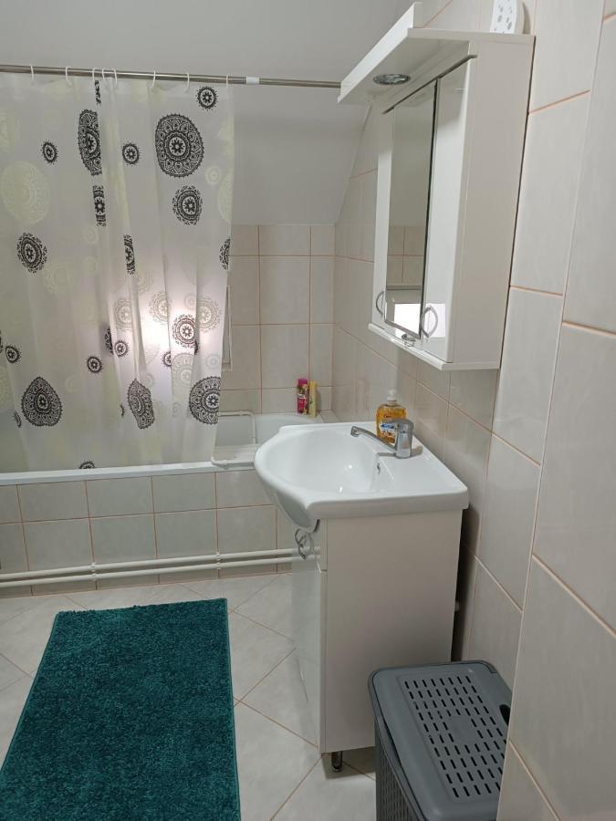 Stan Na Dan J & M Apartman Versec Kültér fotó