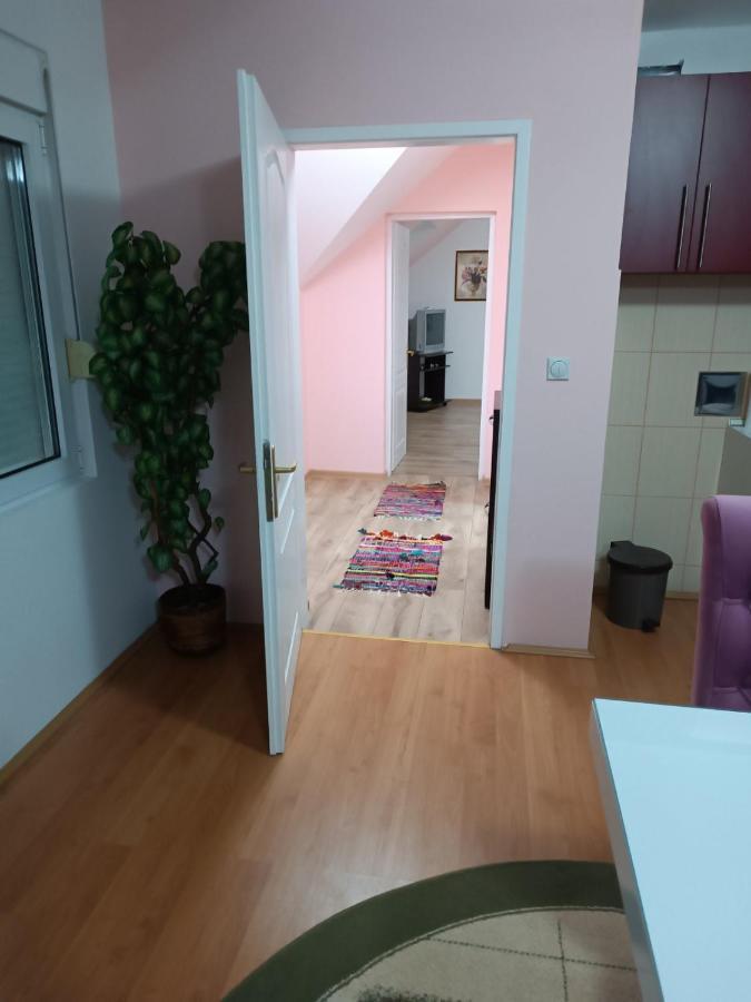 Stan Na Dan J & M Apartman Versec Kültér fotó